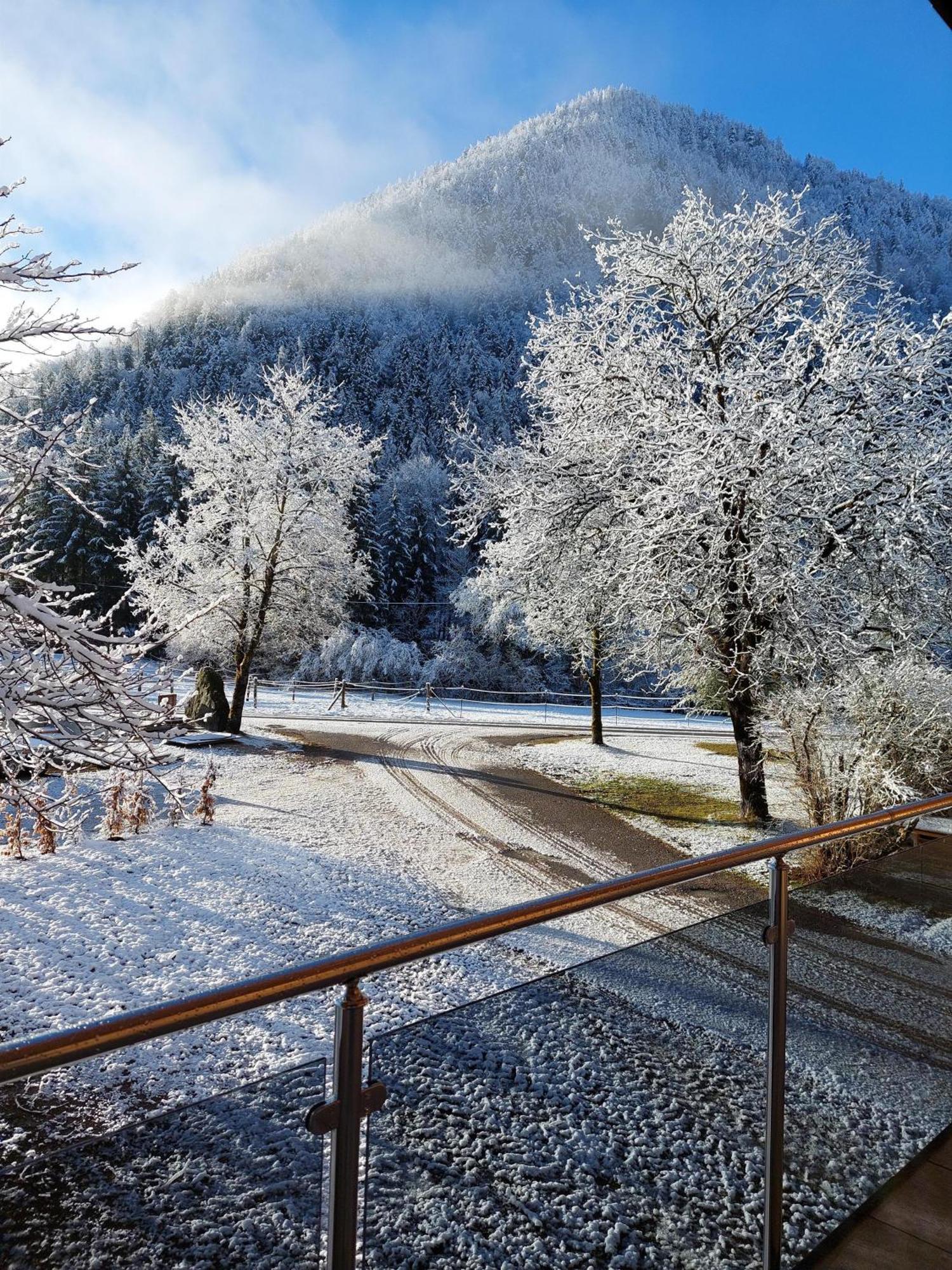 Appartamento Hofpower'S Mountain Feeling Hinterstoder Esterno foto