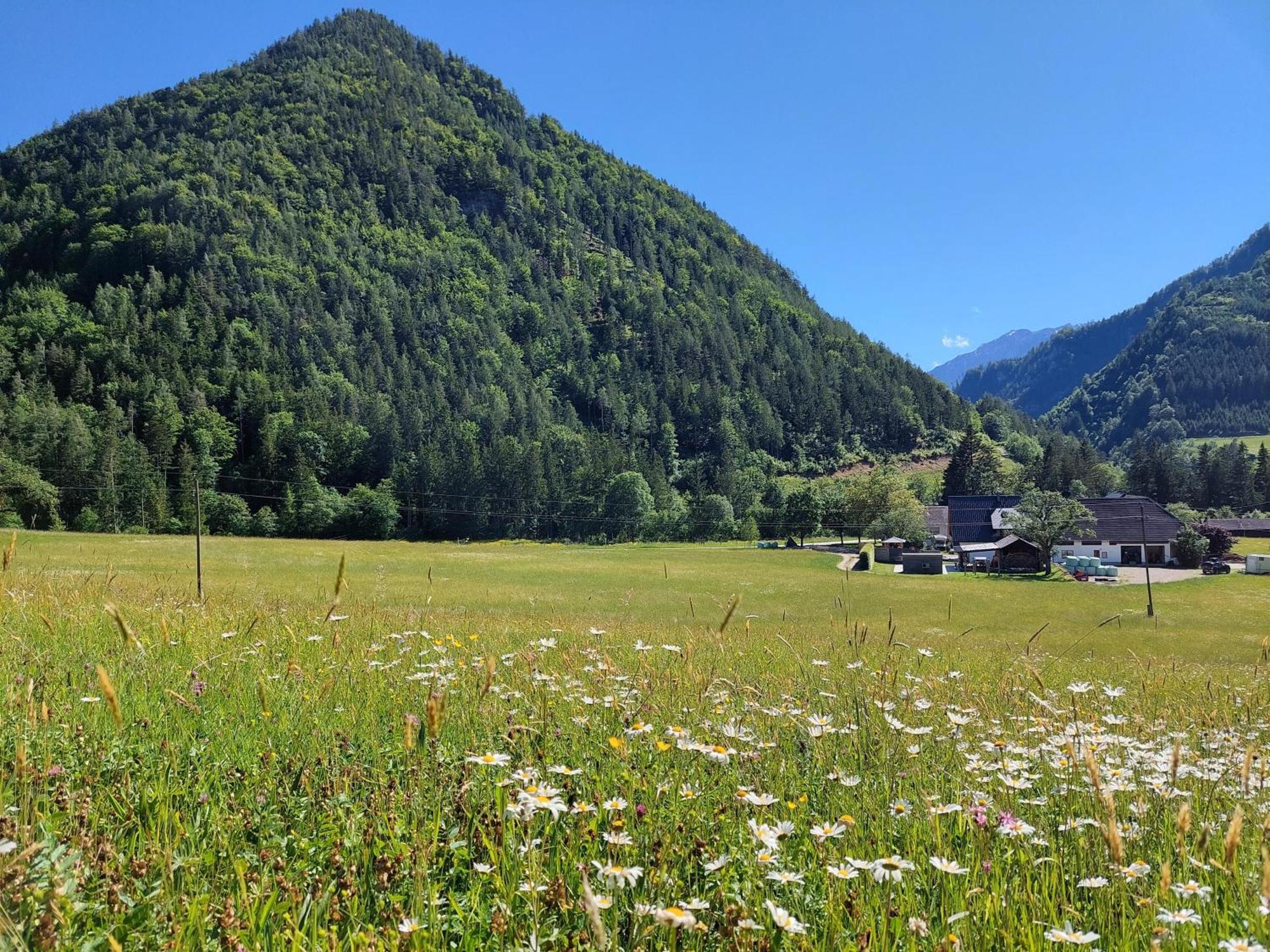 Appartamento Hofpower'S Mountain Feeling Hinterstoder Esterno foto