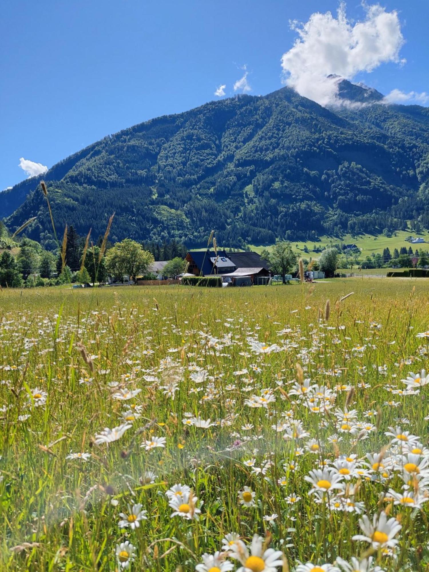 Appartamento Hofpower'S Mountain Feeling Hinterstoder Esterno foto