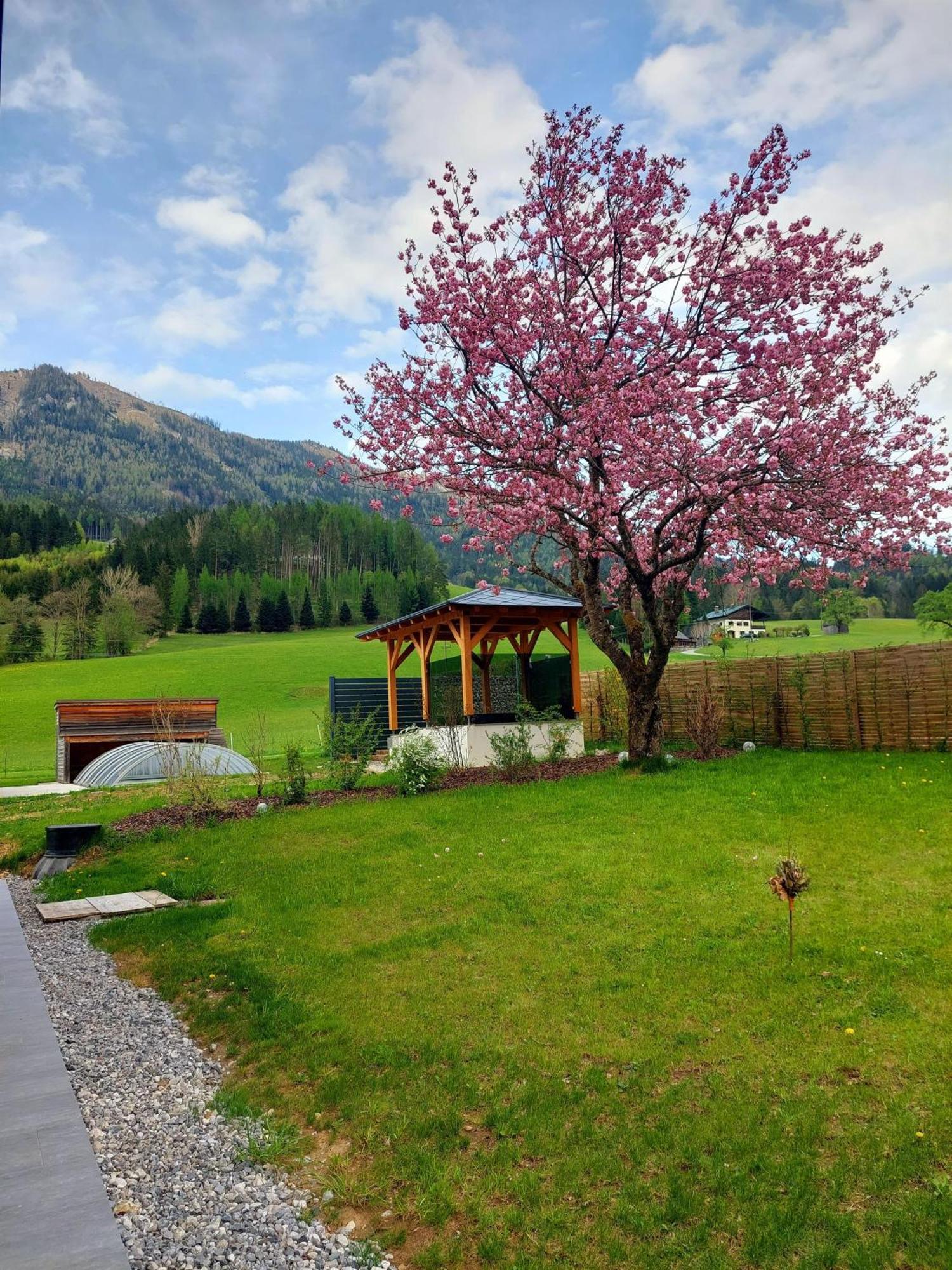 Appartamento Hofpower'S Mountain Feeling Hinterstoder Esterno foto